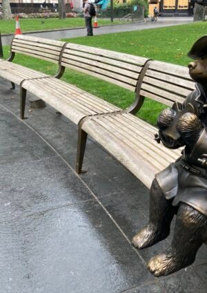 The Complete Guide to Pabington: History, Care, and Characteristics