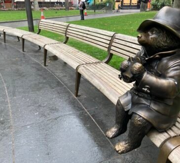 The Complete Guide to Pabington: History, Care, and Characteristics