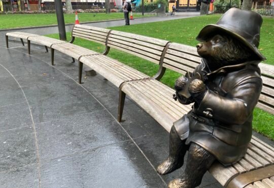 The Complete Guide to Pabington: History, Care, and Characteristics