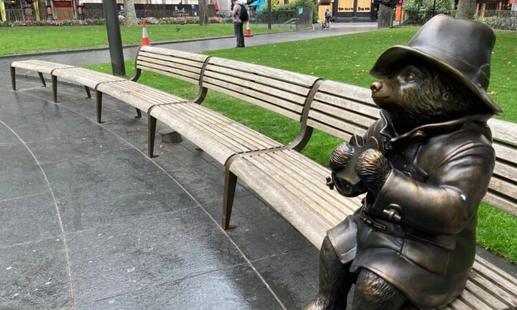 The Complete Guide to Pabington: History, Care, and Characteristics