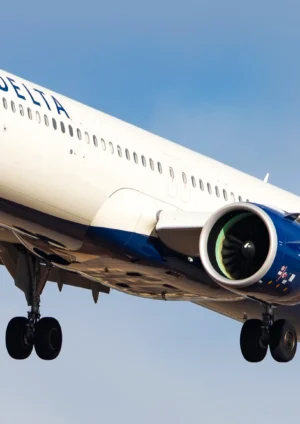Details on Why delta flight dl275 diverted lax
